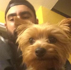 Meet your Posher, Sam